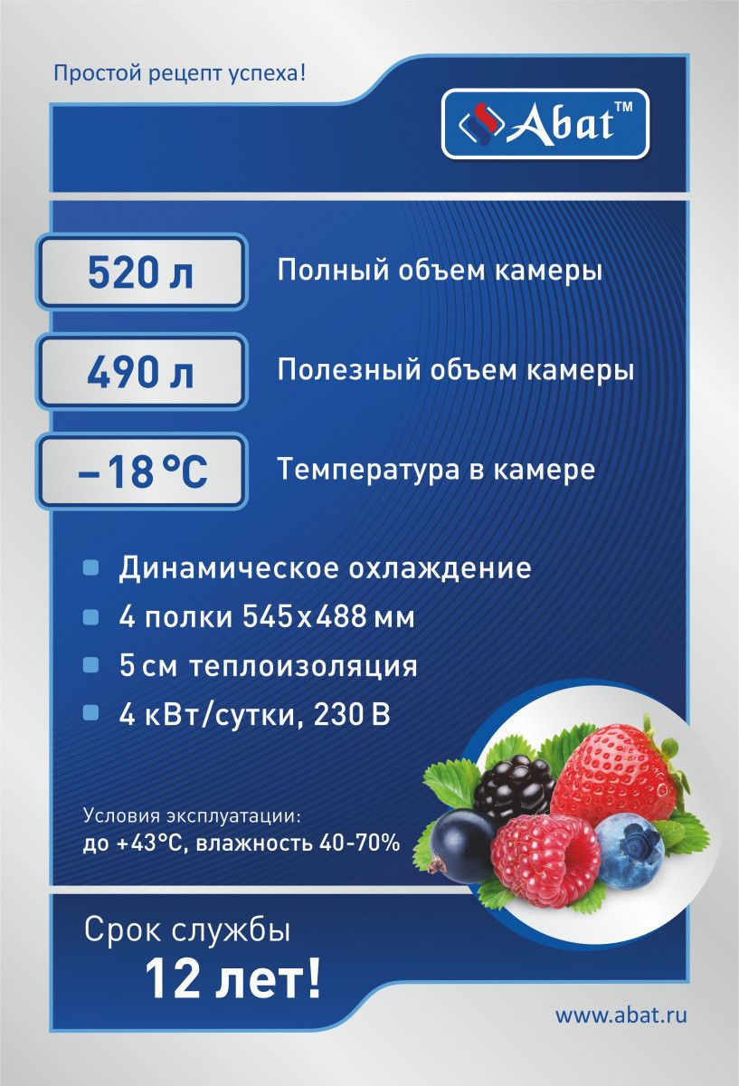 Шкаф холодильный низкотемпературный ШХн-0,5-01 нерж. 